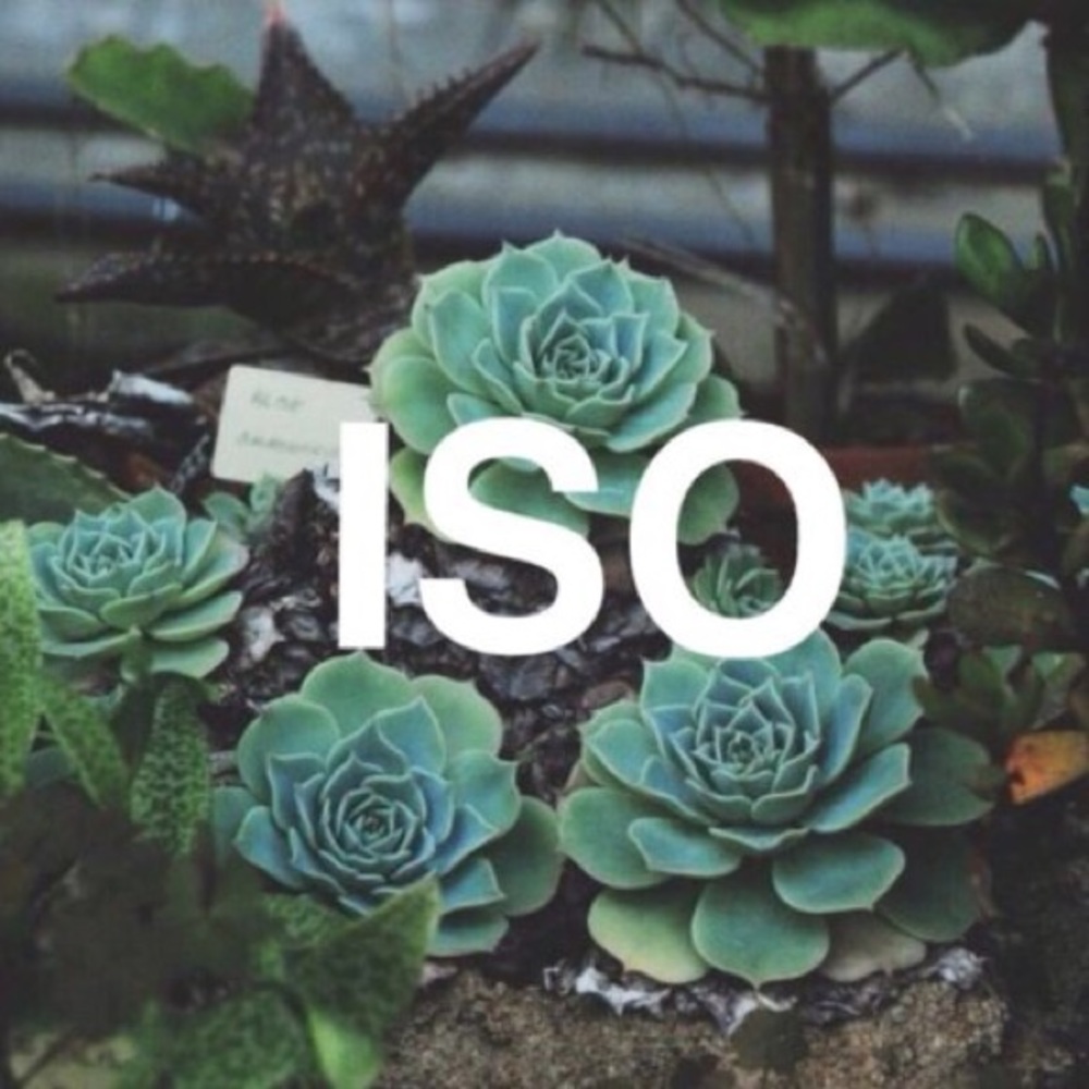 ISO!!!